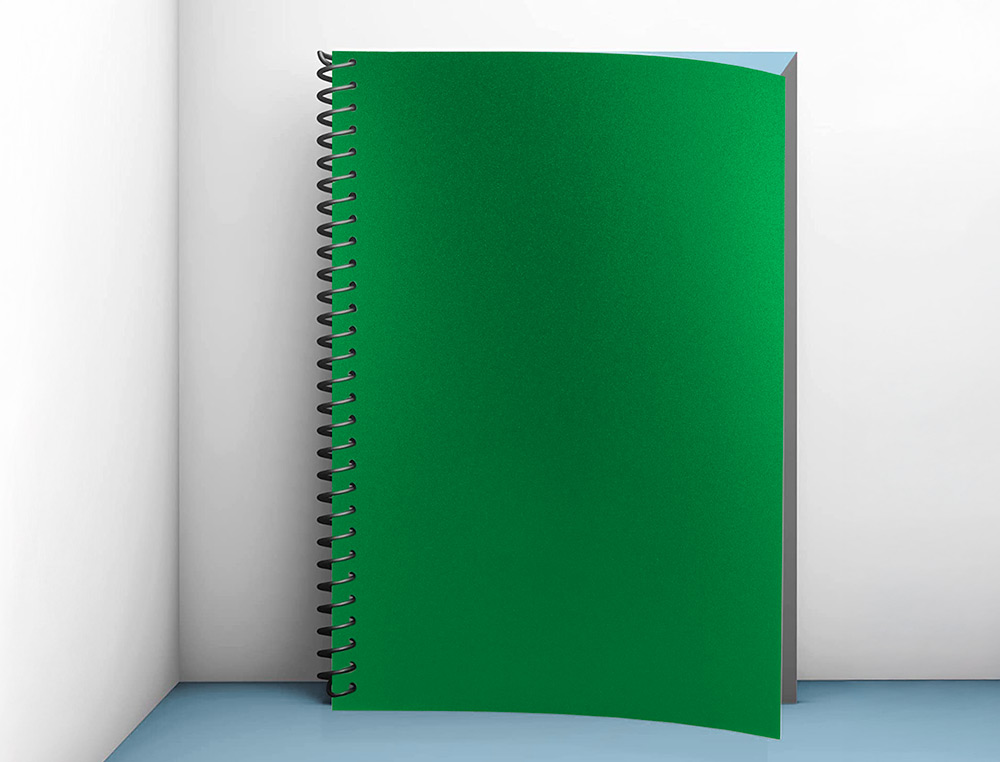 CAPA ENCADERNACAO LIDERPAPEL POLIPROPILENO A4 0.5MM VERDE OPACO EMBALAGEM DE 100 UNIDADES