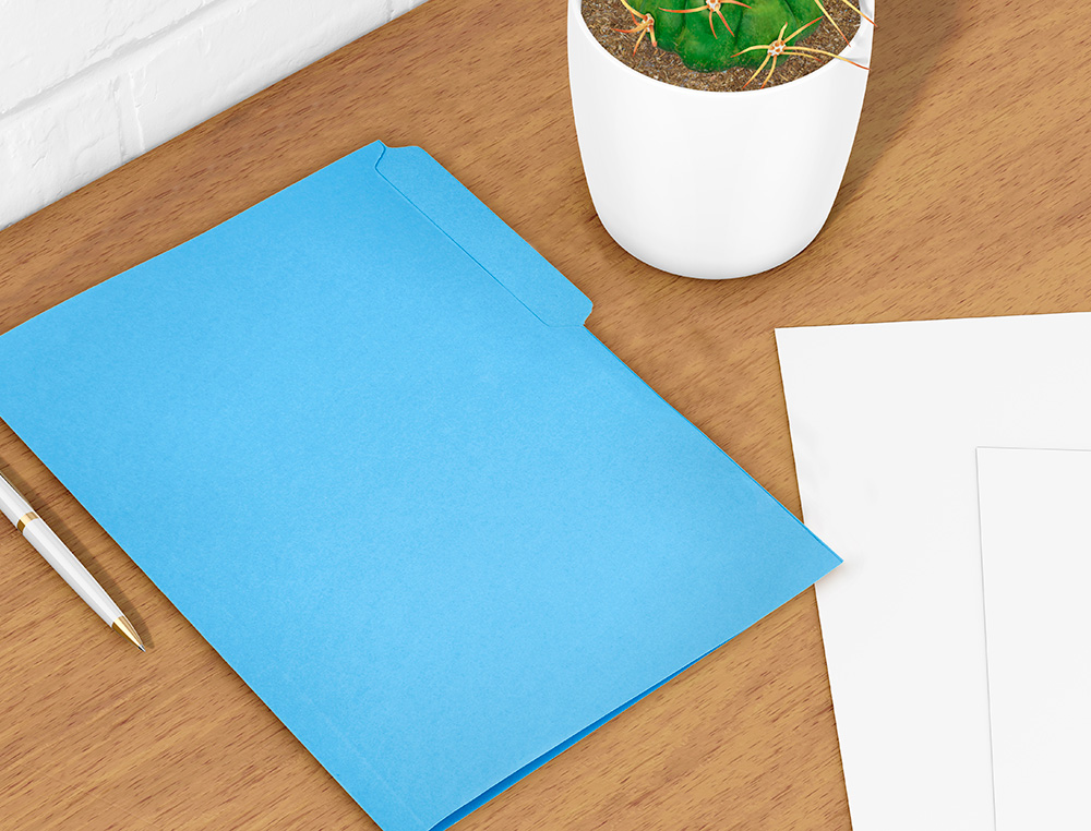 CLASSIFICADOR LIDERPAPEL EM CARTOLINA FOLIO PESTANA ESQUERDA 240G/M2 AZUL
