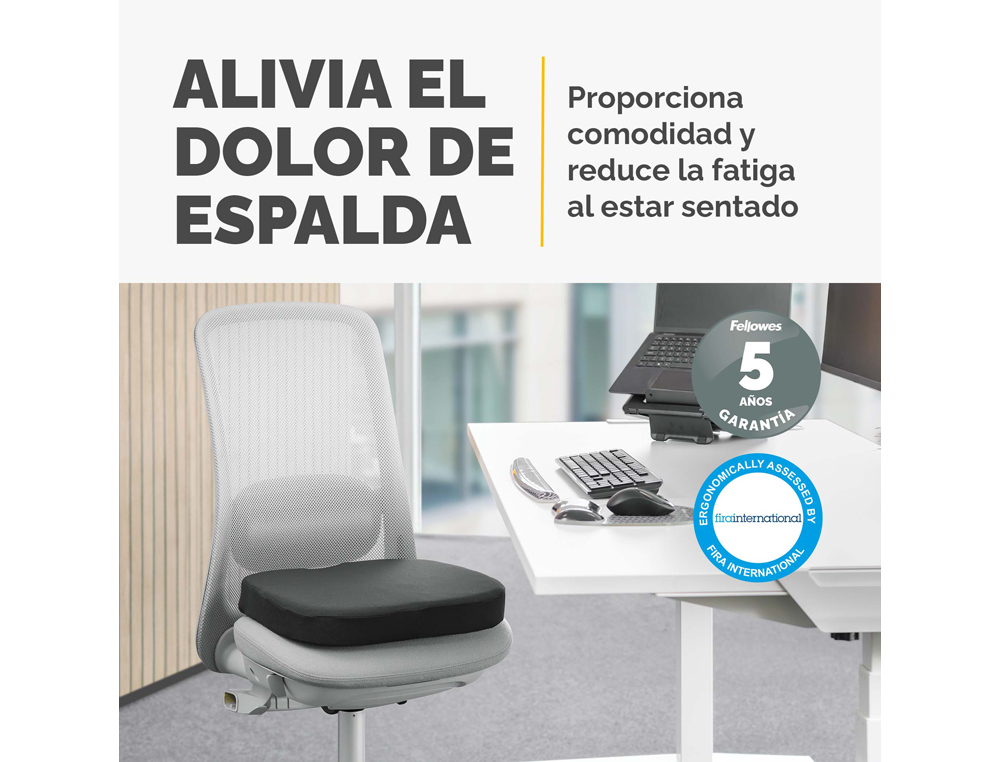 ALMOFADA DE ASSENTO FELLOWES BREYTA ACOLCHOADA COR PRETO 60X430X430 MM