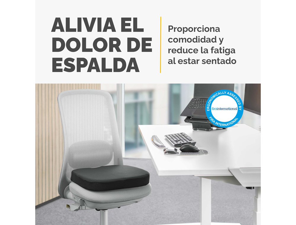 ALMOFADA DE ASSENTO FELLOWES BREYTA ACOLCHOADA COR PRETO 60X430X430 MM