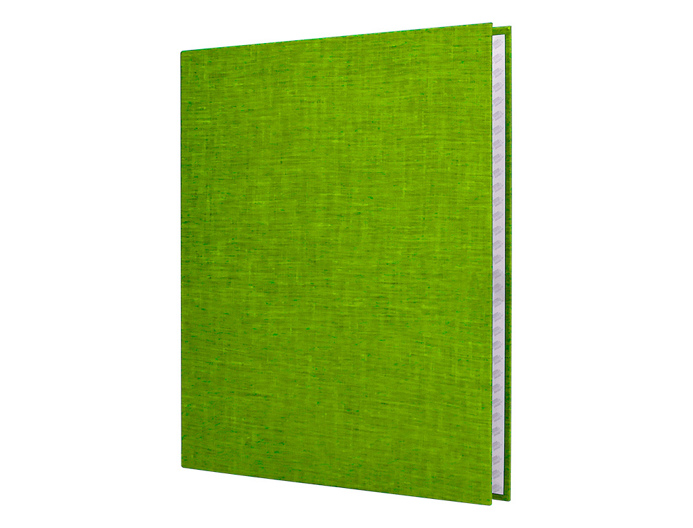 CAPA LIDERPAPEL PAPER COAT 4 ANEIS 25 MM FROSTY VERDE