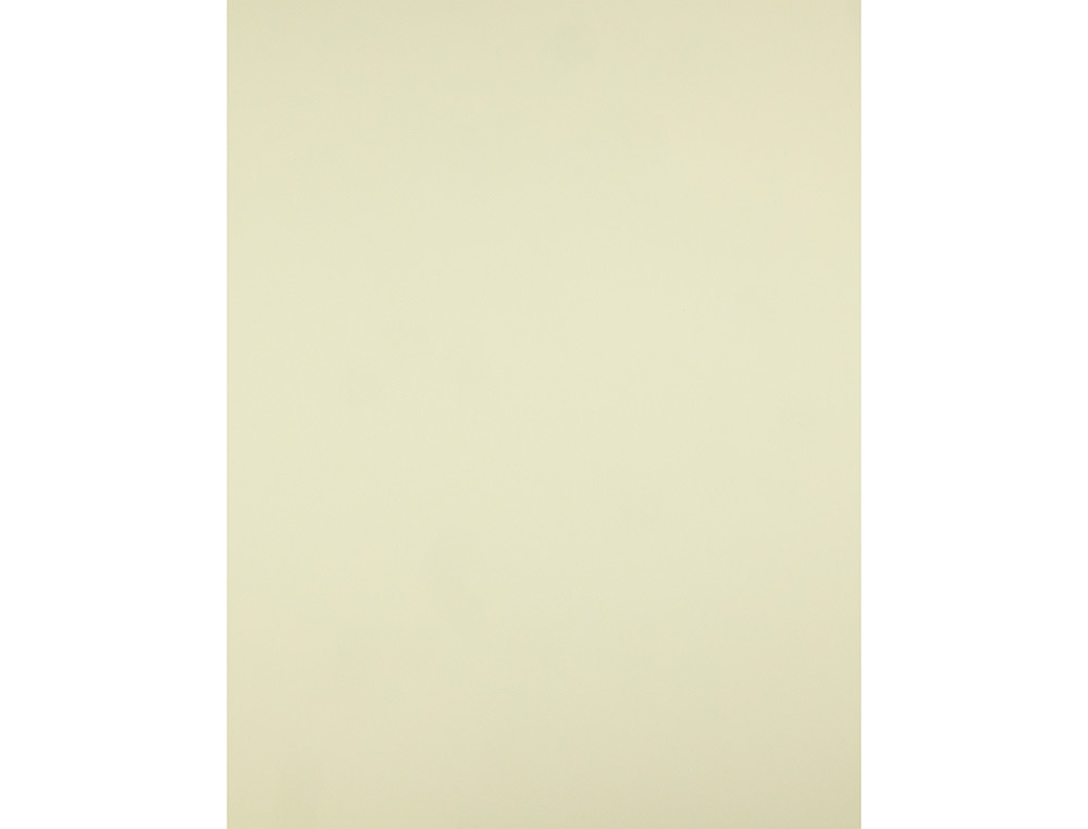 CARTOLINA LIDERPAPEL 50X65 CM 180 GR AMARELO
