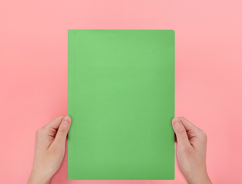 CLASSIFICADOR LIDERPAPEL EM CARTOLINA DE 180 GRS, FOLIO, VERDE INTENSO