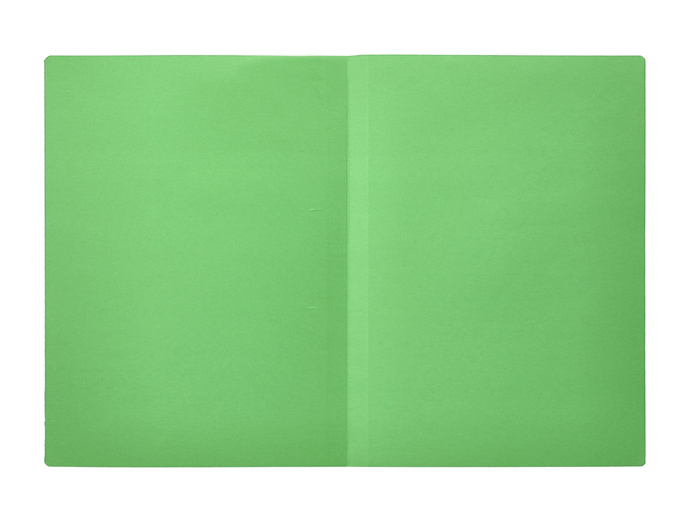CLASSIFICADOR LIDERPAPEL EM CARTOLINA DE 180 GRS, FOLIO, VERDE INTENSO