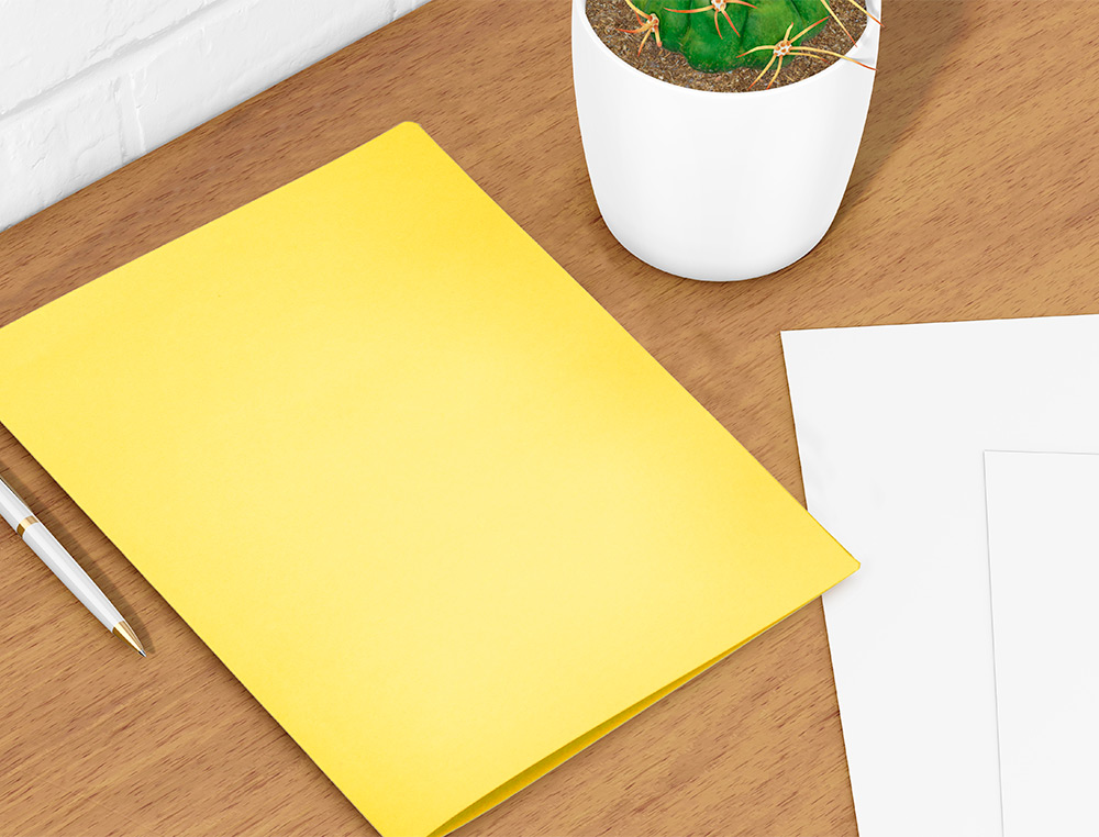 CLASSIFICADOR LIDERPAPEL EM CARTOLINA DE 180 GR DIN A4 AMARELO INTENSO