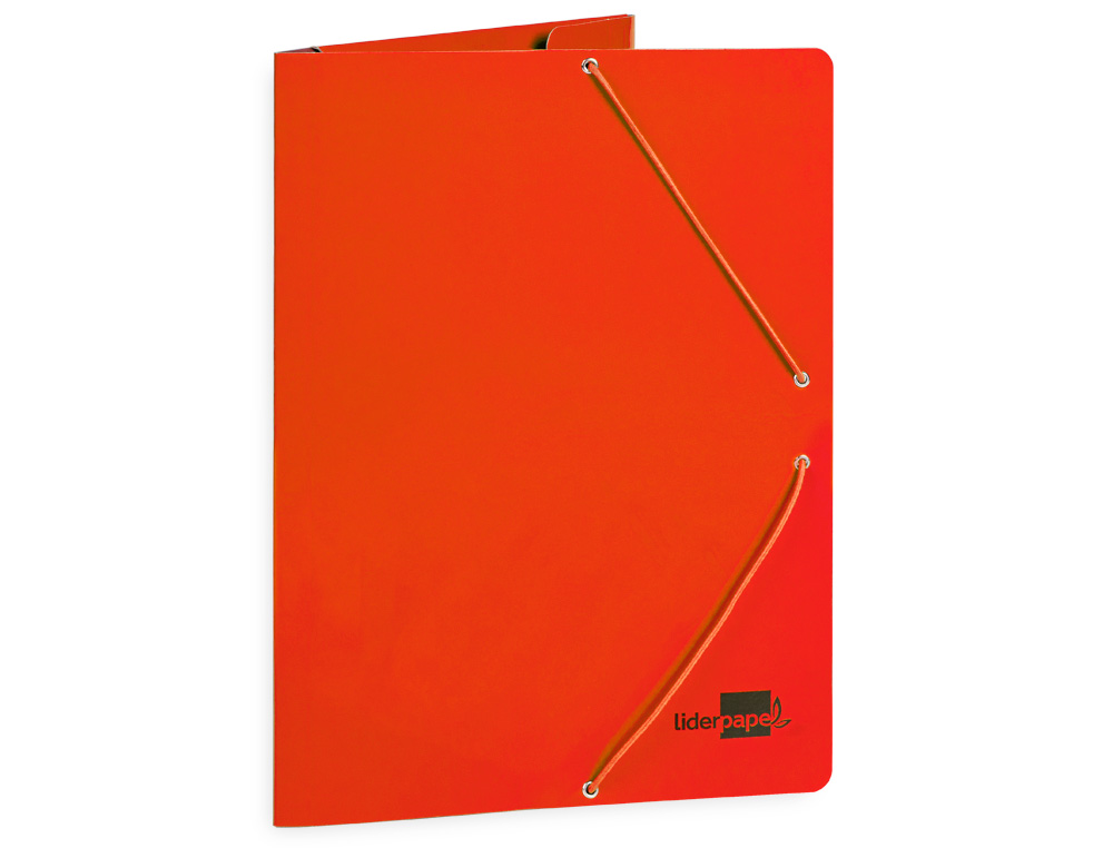 PASTA LIDERPAPEL DE ELASTICOS FOLIO 3 ABAS CARTAO PLASTIFICADO CORES SORTIDAS