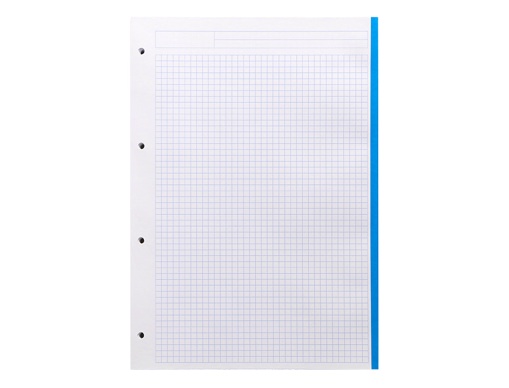 RECARGA LIDERPAPEL DIN A4 120 F QUADRICULA DE 5 MM MARGEM COM BANDAS 5 CORES PAPEL DE 70 GR
