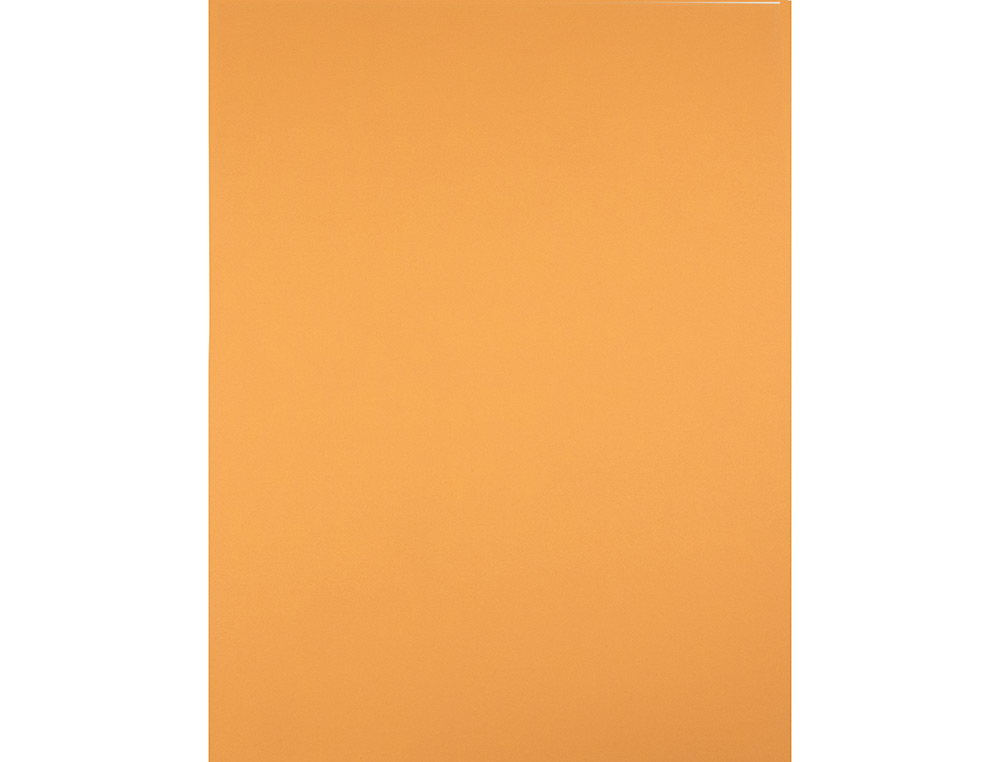 CARTOLINA LIDERPAPEL 50X65 CM 240 GR AVELA PACK DE 25 UNIDADES