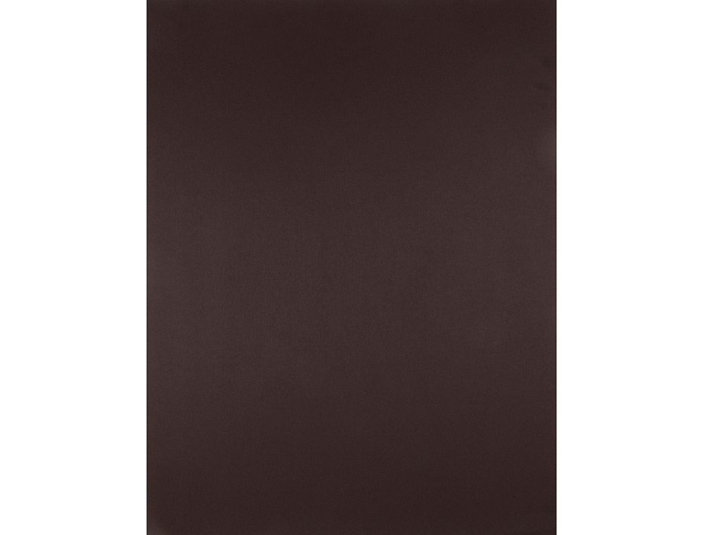 CARTOLINA LIDERPAPEL 50X65 CM 240 GR CASTANHO PACK DE 25 UNIDADES
