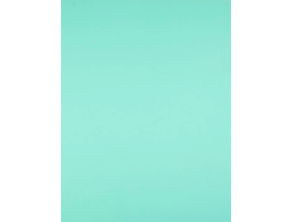 CARTOLINA LIDERPAPEL 50X65 CM 240 GR VERDE PACK DE 25 UNIDADES