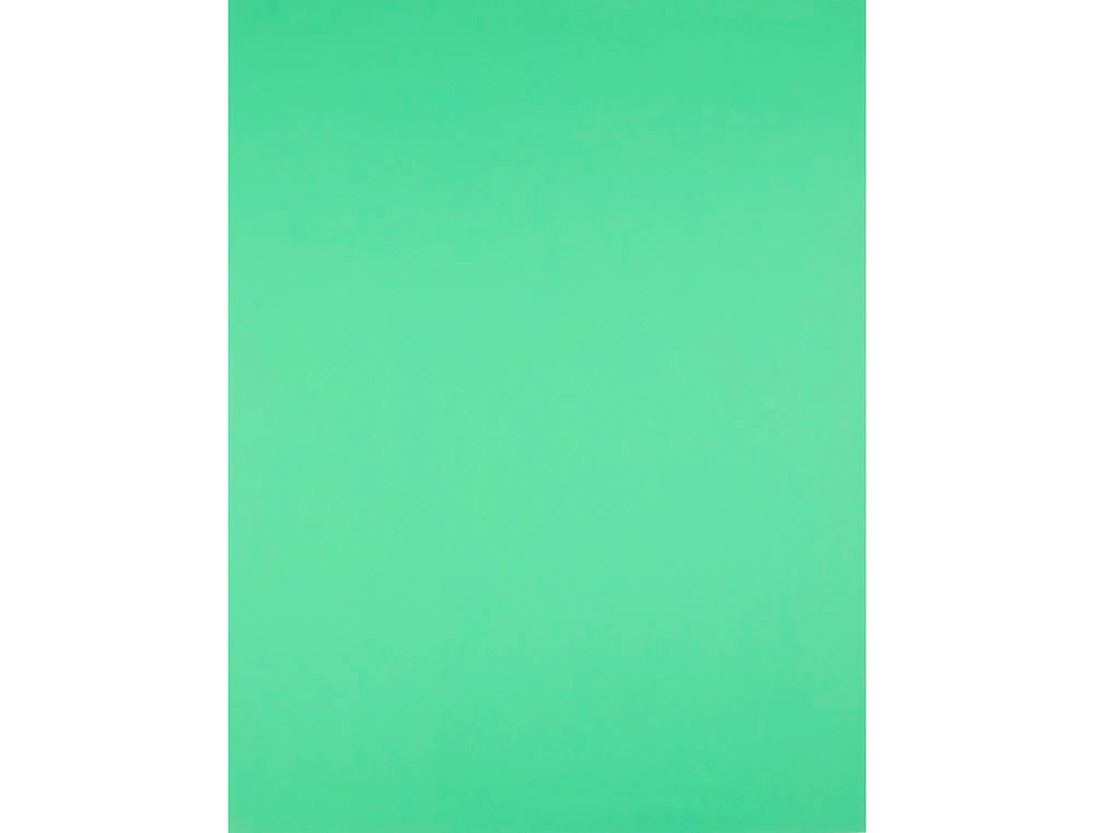 CARTOLINA LIDERPAPEL 50X65 CM 240 GR VERDE PISTACHO PACK DE 25 UNIDADES