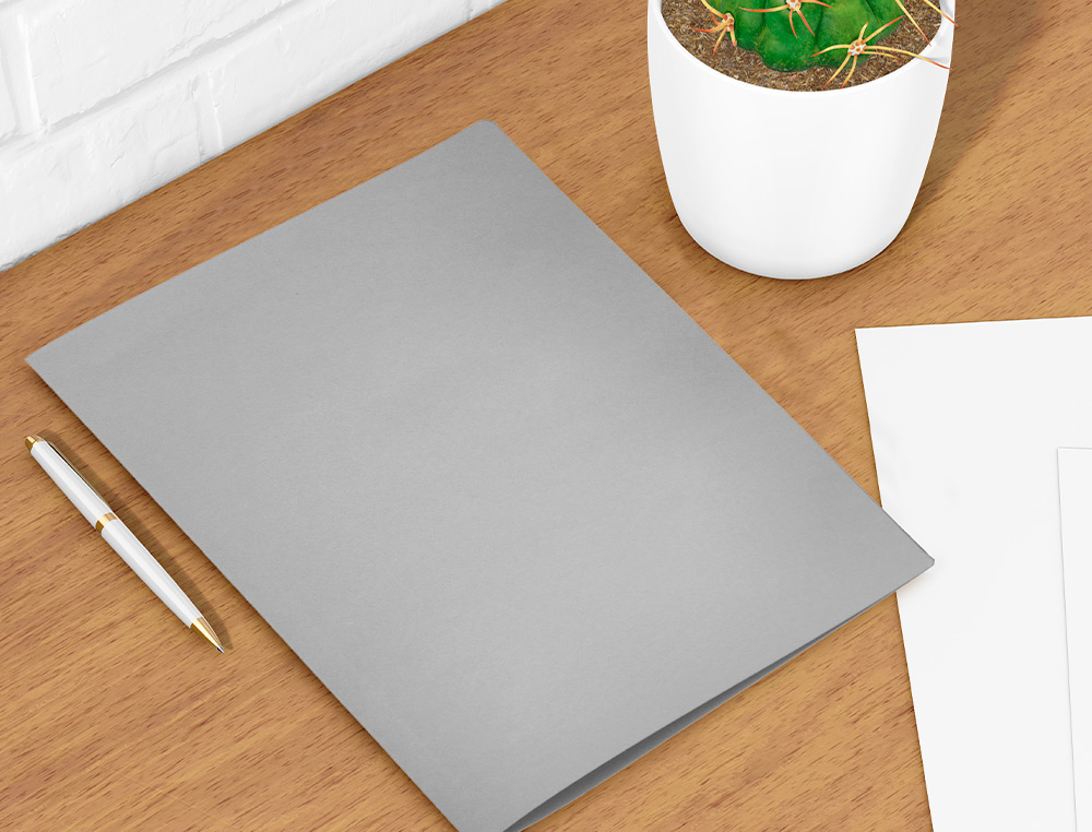 CLASSIFICADORES LIDERPAPEL DE CARTOLINA FOLIO CINZA INTENSO 180G/M2