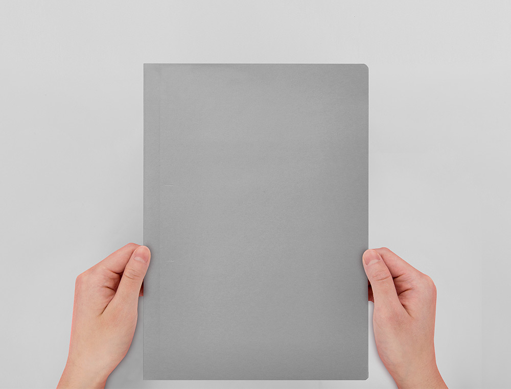 CLASSIFICADORES LIDERPAPEL DE CARTOLINA FOLIO CINZA INTENSO 180G/M2
