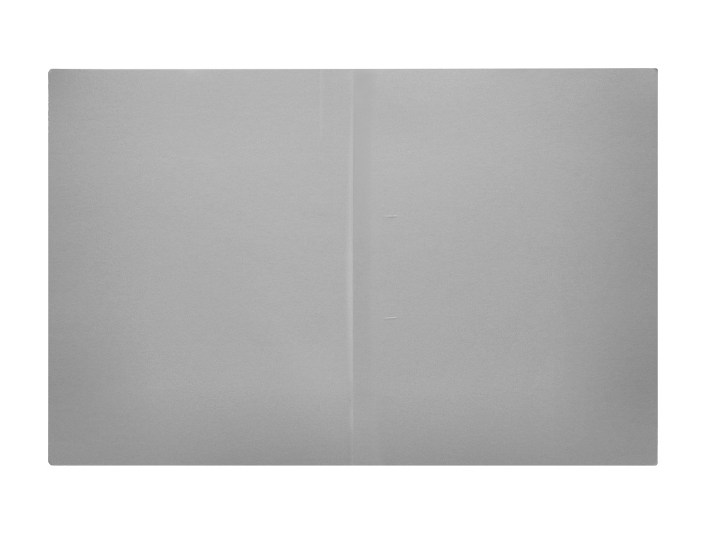 CLASSIFICADOR LIDERPAPEL EM CARTOLINA DE 180 GR DIN A4 CINZA INTENSO