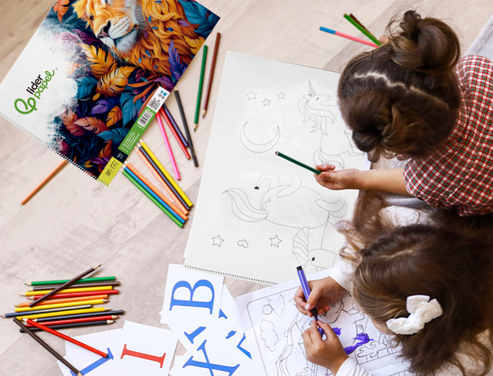 BLOCO DE DESENHO LIDERPAPEL ARTISTICO ESPIRAL 460X325MM 20 FOLHAS 180 GR SEM ESQUADRIA