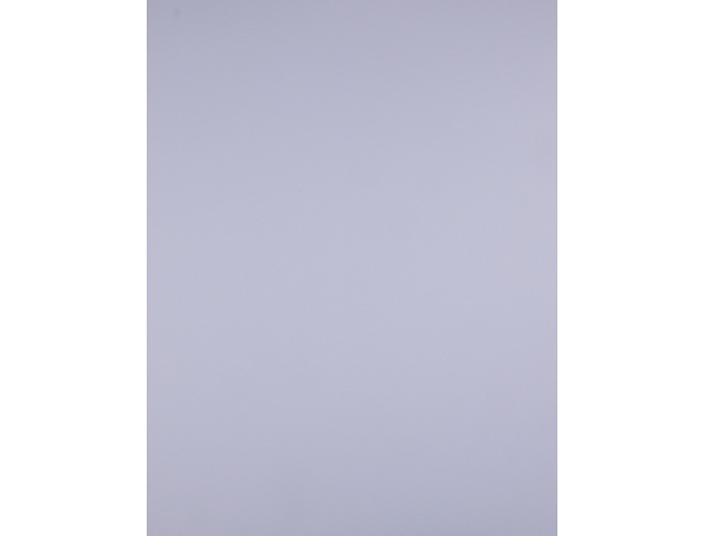 CARTOLINA LIDERPAPEL 50X65 CM 180 GR LILAS PACK DE 25 UNIDADES